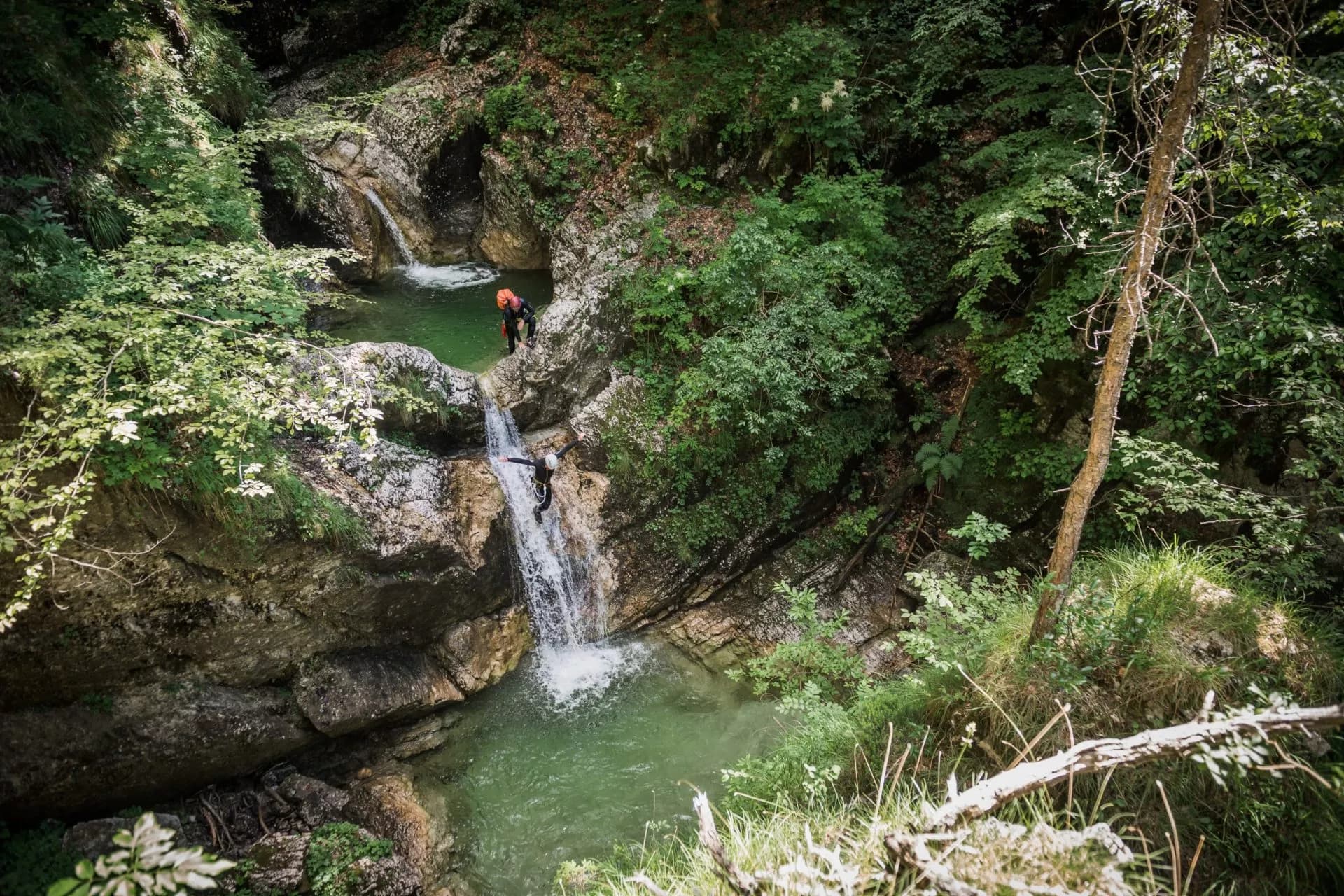 Canyoning down a waterfall into a green pool surrounded by dense forest foliage.