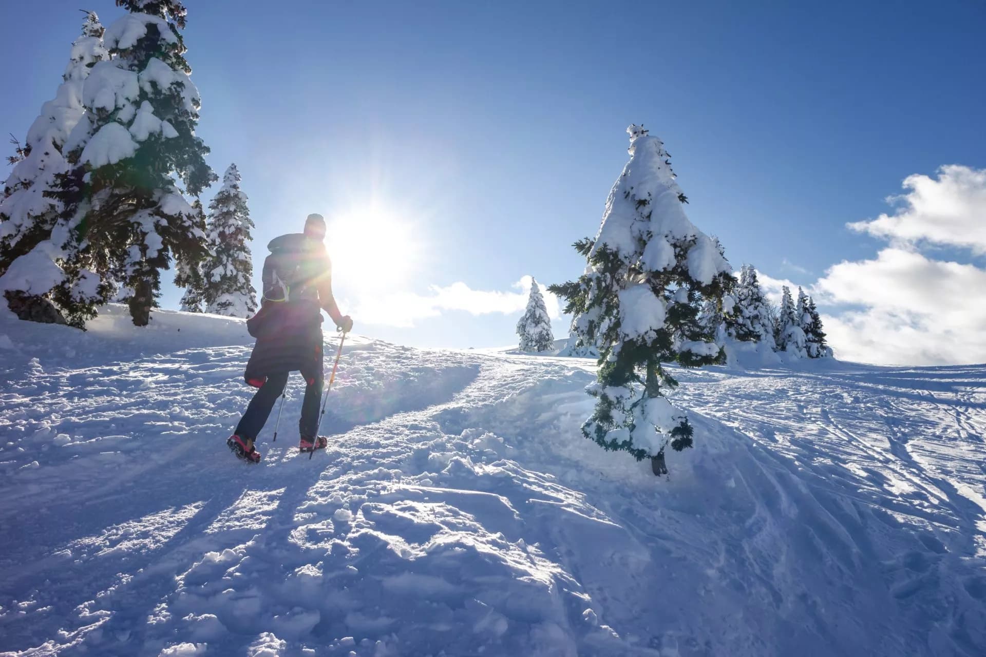 Hiker with poles ascending snowy slope past snow-covered fir trees under bright sun in Slovenia.