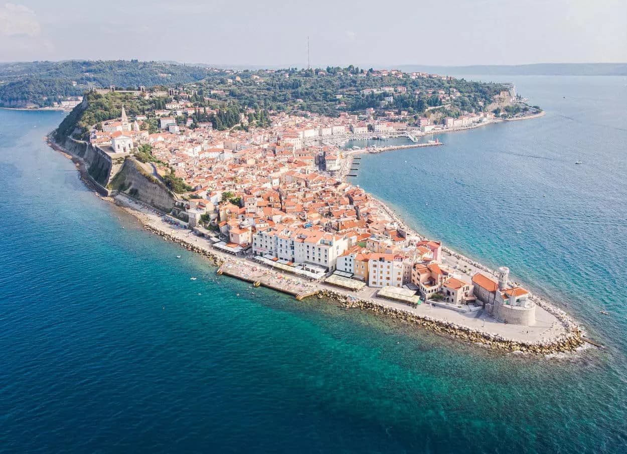 Aerial view of Slovenian coast and Piran peninsula with terracotta roofs meeting turquoise Adriatic Sea.