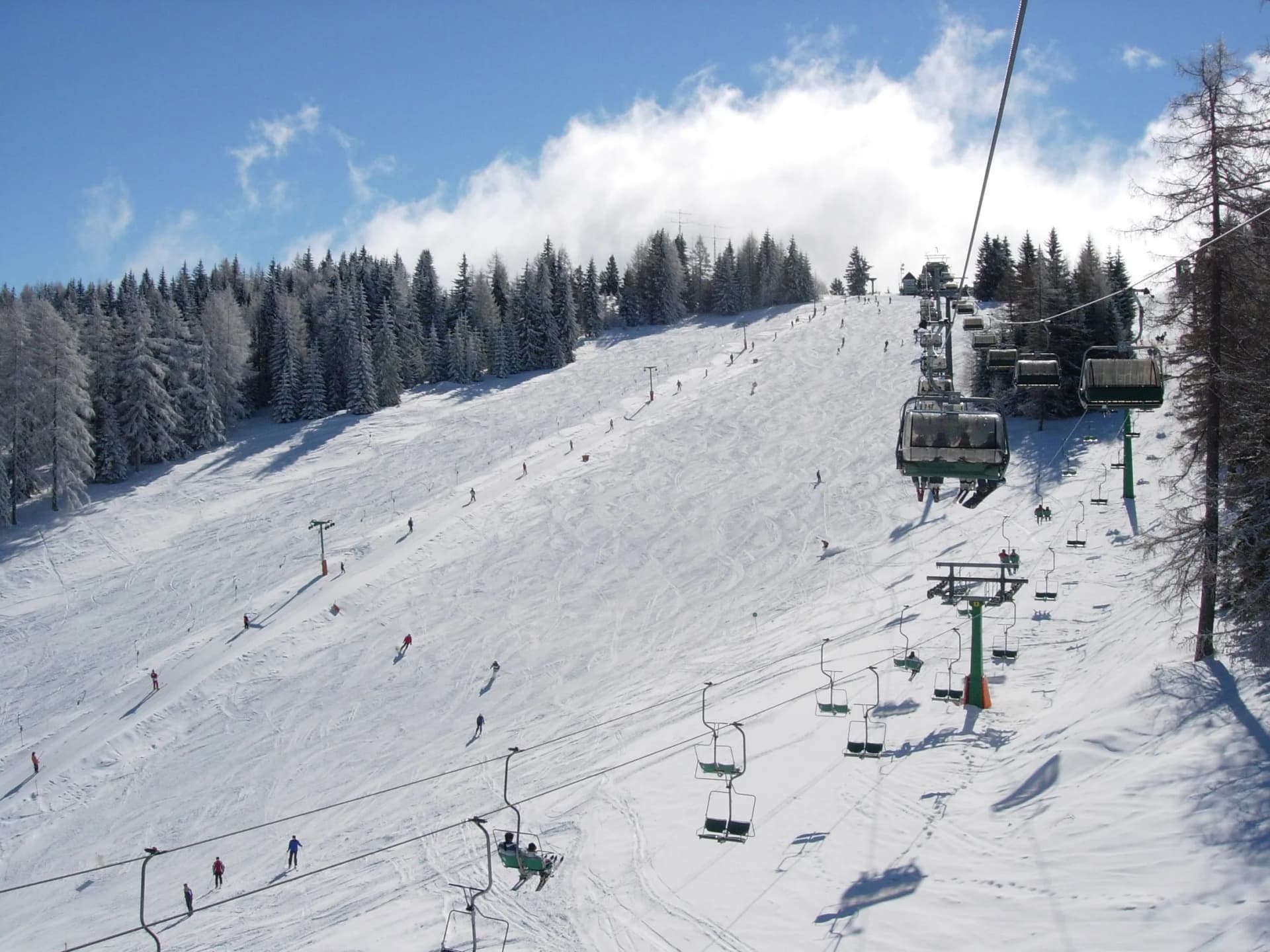 Skiing on a snowy slope with chairlifts running past snow-covered pine trees at Cerkno.