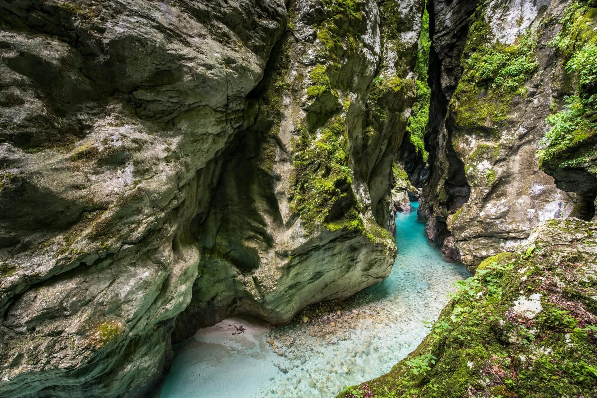 Turquoise river flowing through steep, moss-covered rock gorge in Tolmin.