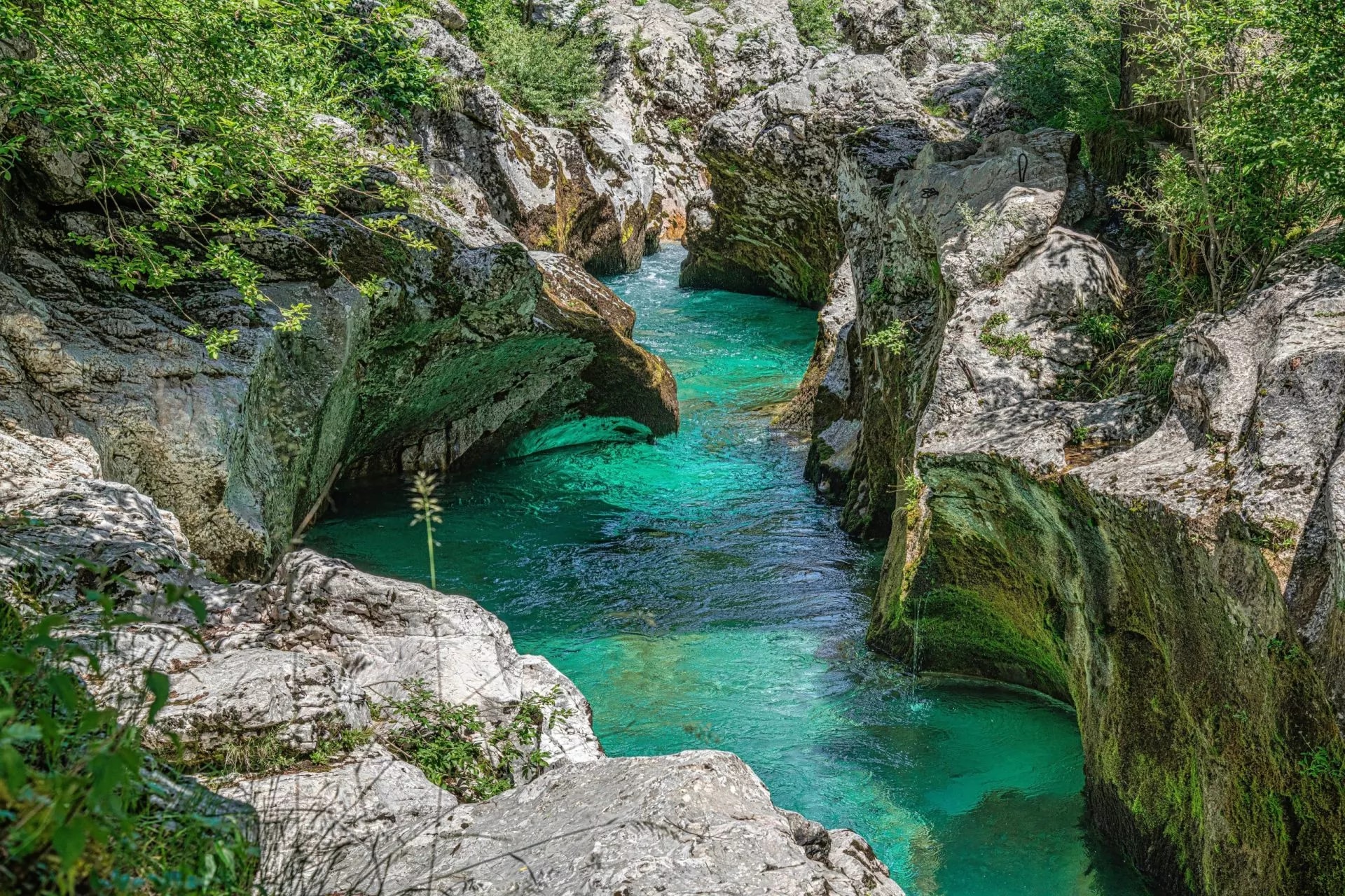 Turquoise river flowing through a narrow, rocky gorge with lush green foliage in Soca River Gorge.