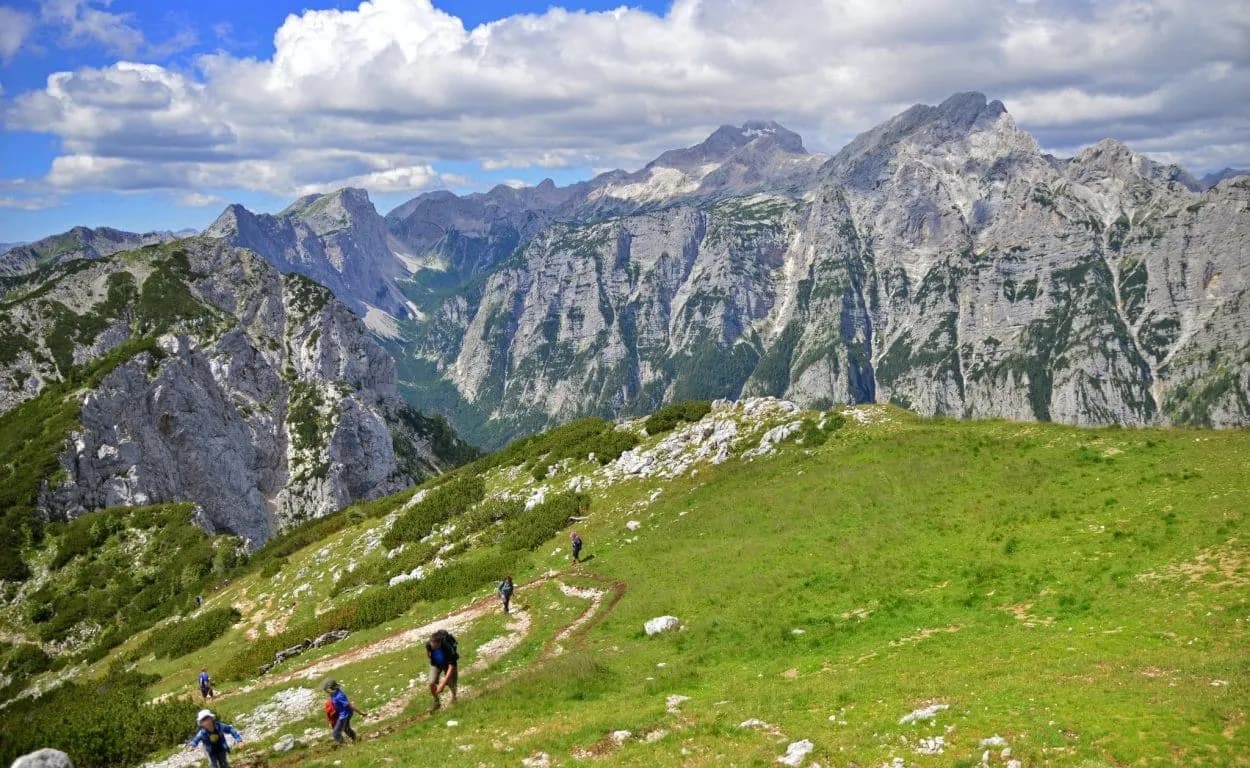 Hikers ascending a grassy trail above Pokljuka Plateau with dramatic limestone mountains.