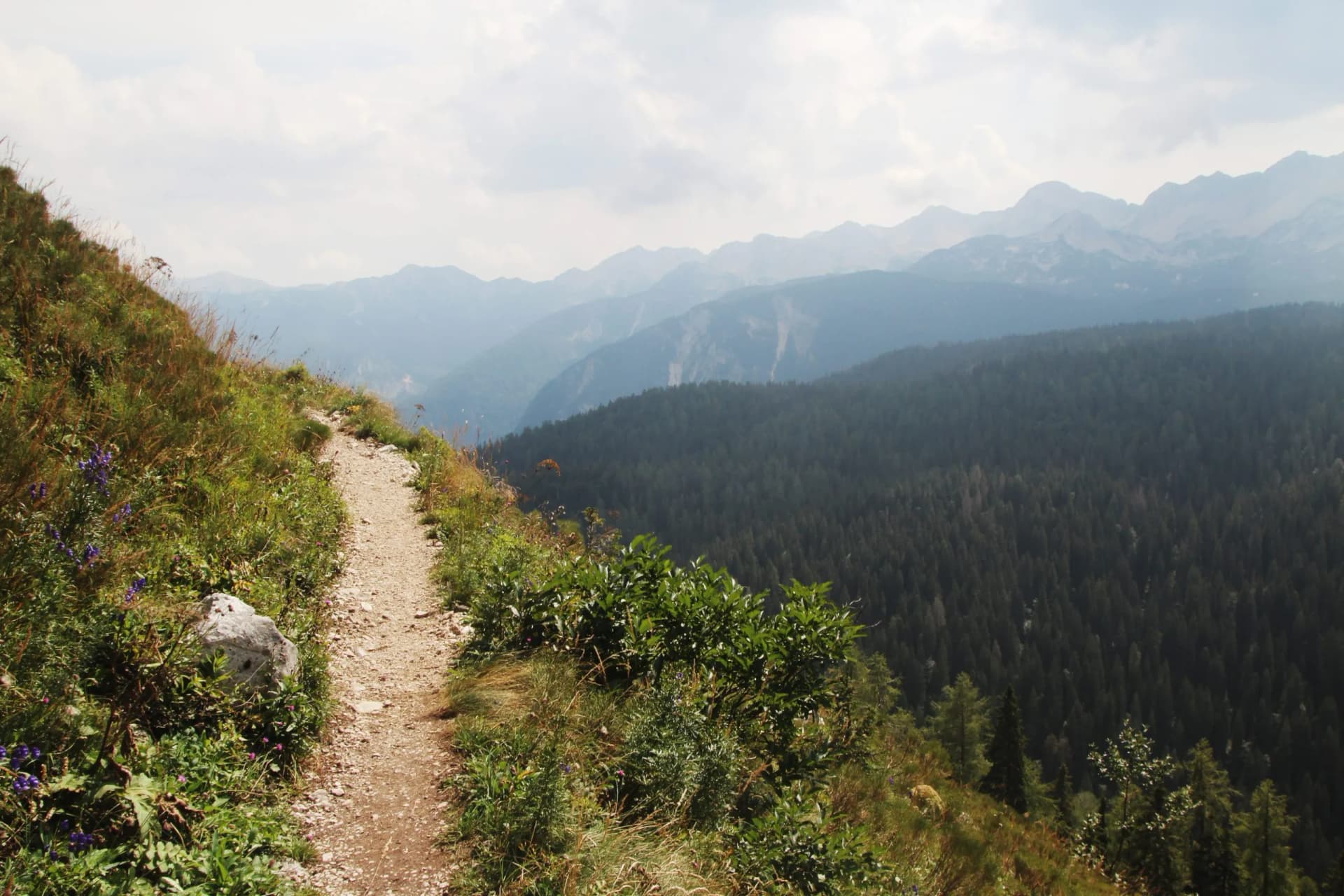 Hiking trail along grassy slope overlooking forested valley and hazy blue mountains in Triglav Lakes Valley.