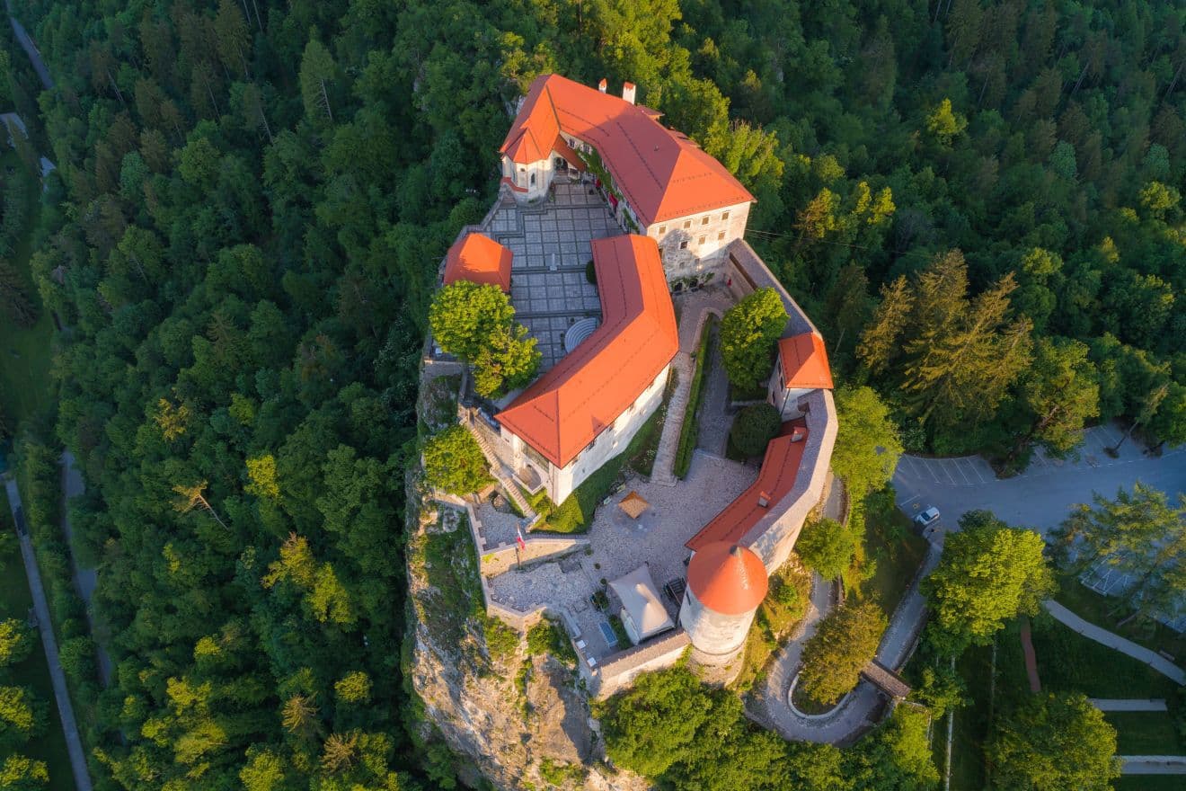 Aerial view of Bled Castle with red roofs perched on a cliff surrounded by dense green forest.
