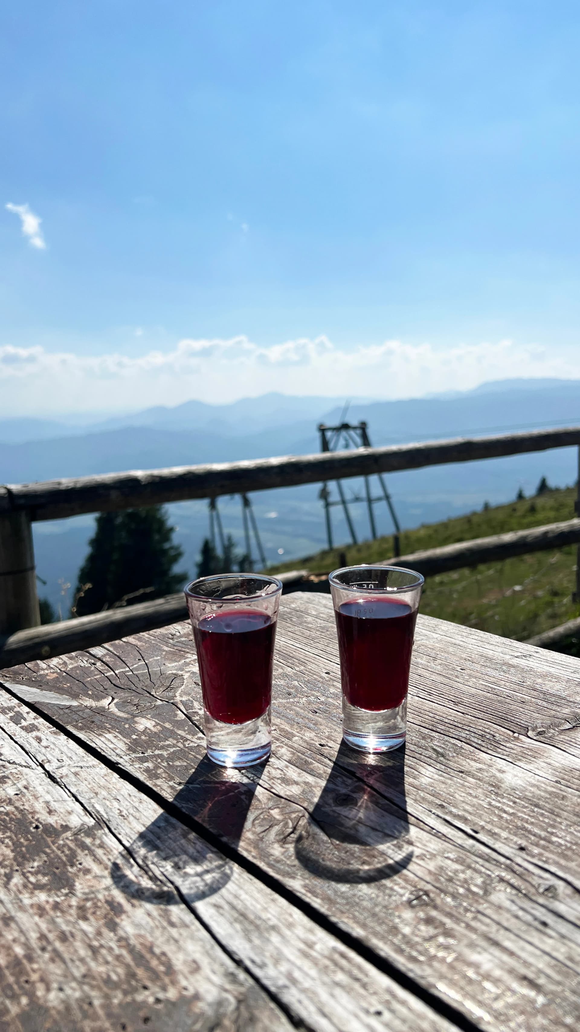 Tolsti vrh, 1715 m Kamniško Savinjske Alpe Slovenia Peak Hiking