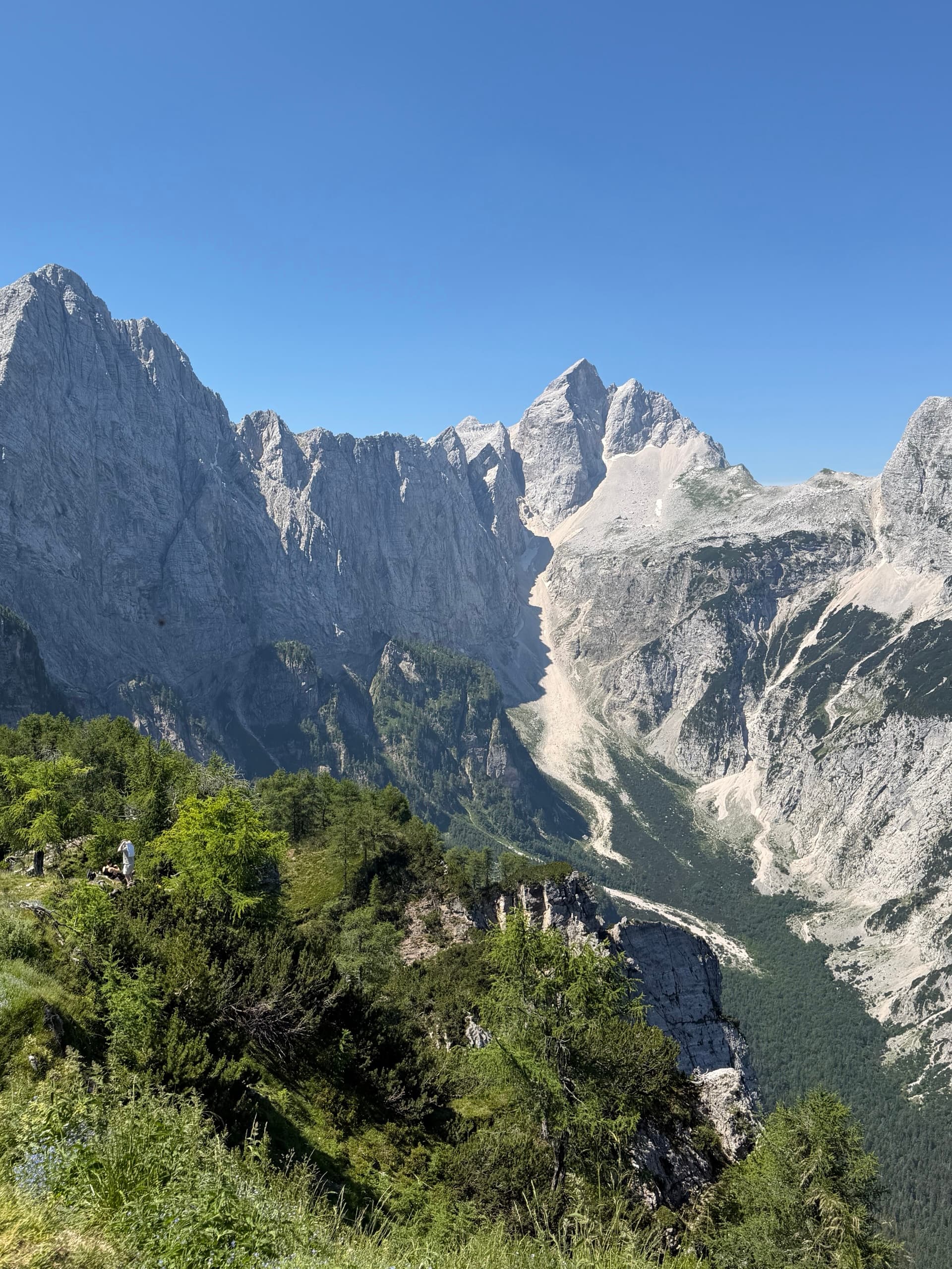 Jagged mountain peaks towering above a deep valley with green trees and rocky slopes under a clear blue sky
