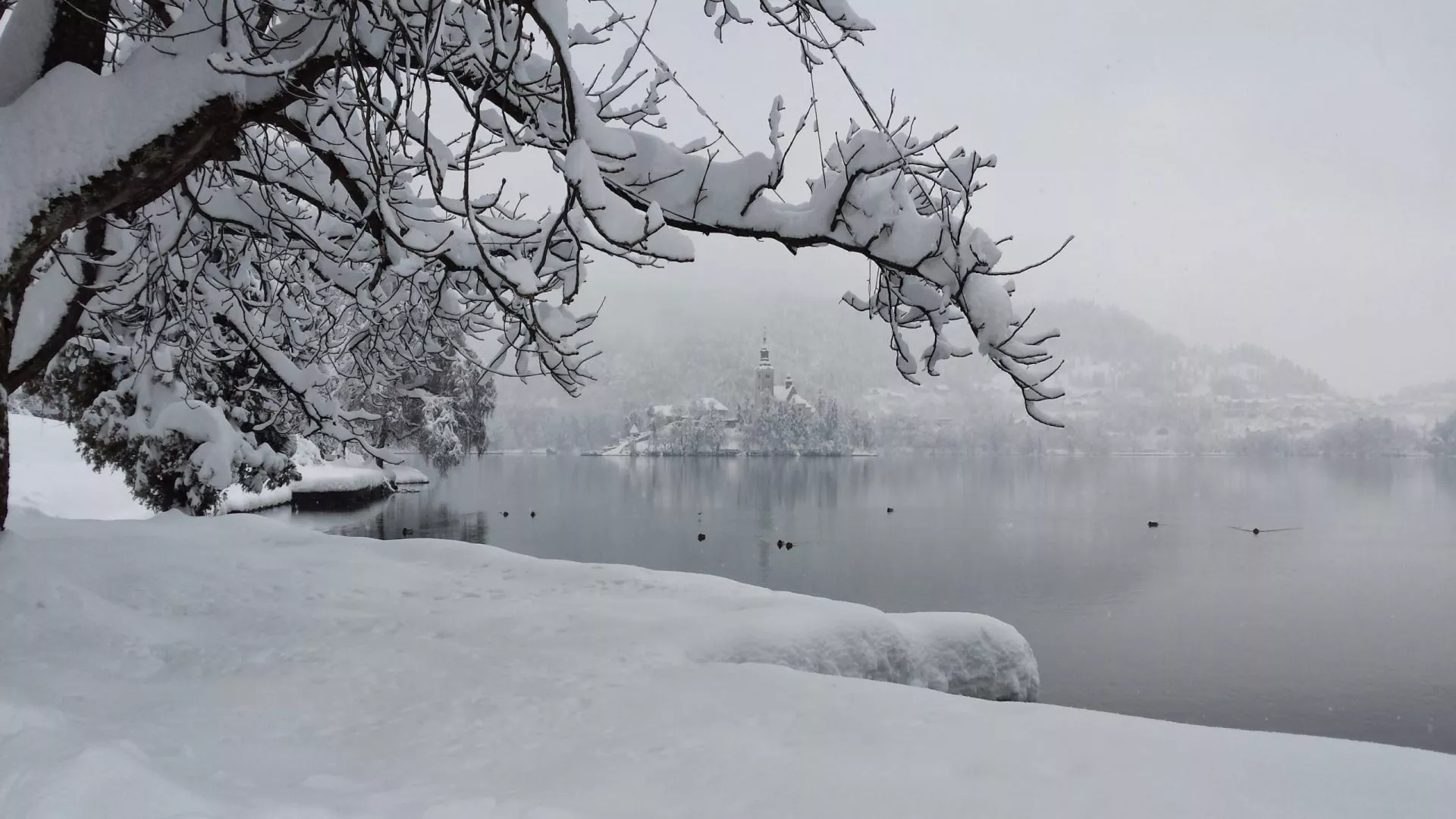 Vinter i Bled